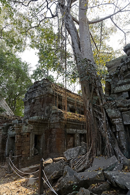 Ta Phrom et environs-153